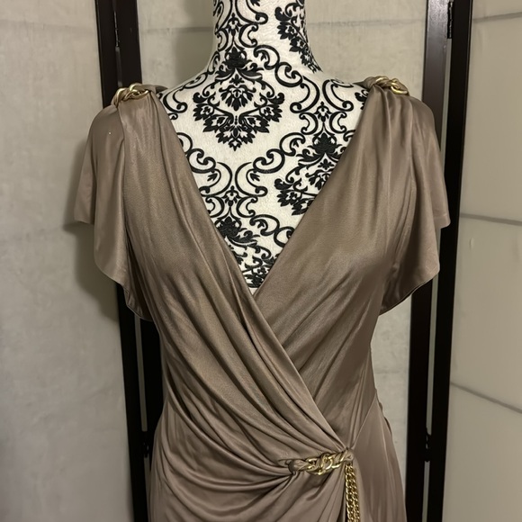 NWOT YOANA BARASCHI DARK BIEGE WITH A HINT OF GOLD MIDI style dress! Size 6! - Picture 3 of 7